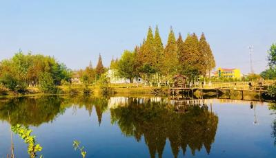 120处塆子林变成村塆公园！监利是怎么做到的？