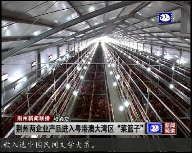 短消息：荆州两企业产品进入粤港澳大湾区 “菜篮子”