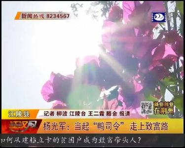 杨光军：当起 “鸭司令” 走上致富路