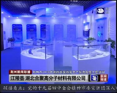 荆州市第四季度固定资产投资项目拉练圆满结束