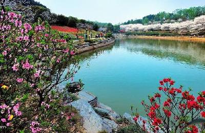 元旦起，国家4A级旅游景区湖南省森林植物园免费开放