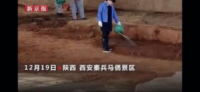 网友质疑“给兵马俑坑内浇水”，官方回应了……