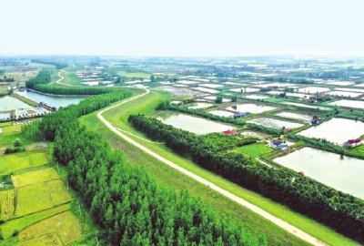 荆州市成功创建国家森林城市成果展示