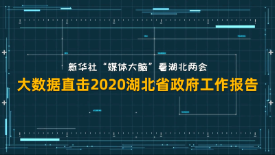 V视丨新华社“数”读湖北两会——大数据直击2020湖北省政府工作报告