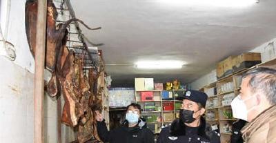 荆州市加强野生动物执法检查