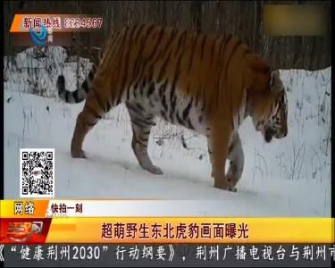 快拍一刻 2020-01-11