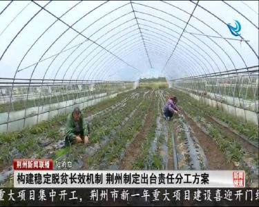 短消息：构建稳定脱贫长效机制 荆州制定出台责任分工方案