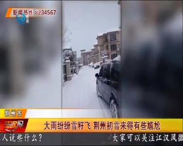 大雪纷纷雪籽飞 荆州初雪来得有些尴尬