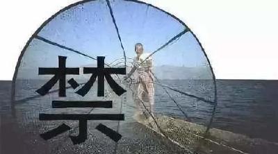 长江流域水生生物保护区全面禁捕 实行期为10年