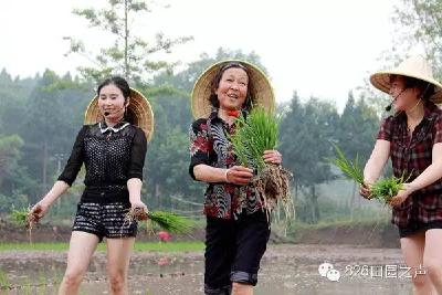 【大众文化】荆州民歌《喇叭调》MV