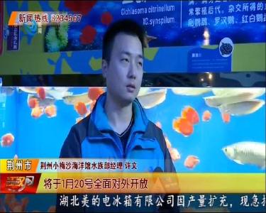 一批海洋萌物入住 荆州小梅沙海洋馆全新升级