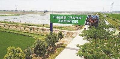 好消息！荆州荣膺“2019全国绿色农业十佳发展范例”