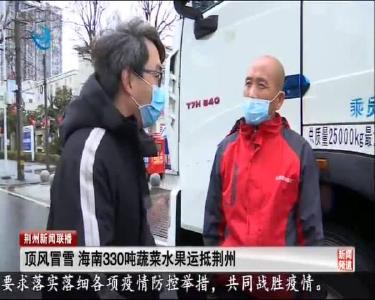 顶风冒雪 海南330吨蔬菜水果运抵荆州