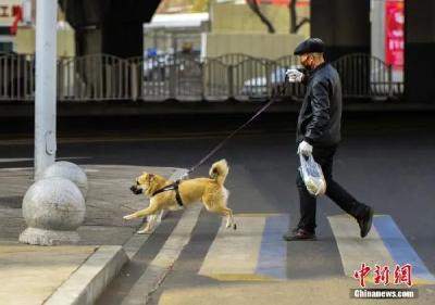 宠物也会感染新冠病毒？专家：尚缺乏充分的实验证据