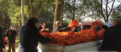 这位种植户3000斤柑橘不卖了，全部送给医护人员“加餐”