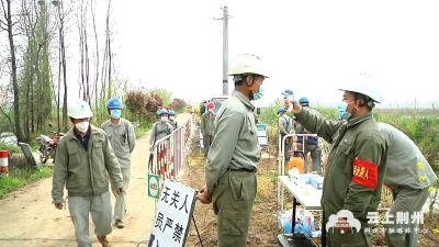 配电网建设复工 农业生产用电有保障