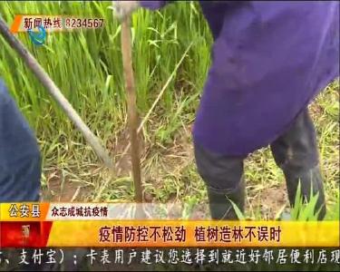 疫情防控不松劲 植树造林不误时