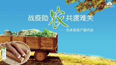 直播丨战疫助农 共渡难关 —为利川山药代言