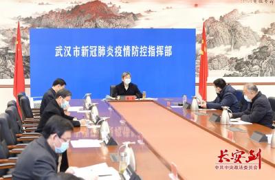 武汉疫情态势已从高位运行期进入中位运行期