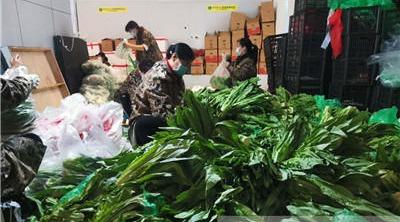 从田里到家里 荆州启动农产品直供模式