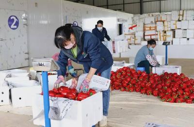 荆州区多举措助农企复产复工 稳定市场供应