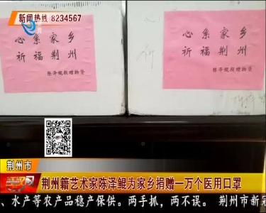 荆州籍艺术家陈泽鲲为家乡捐赠一万个医用口罩