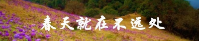 【抗疫战歌】诗朗诵《春天就在不远处》