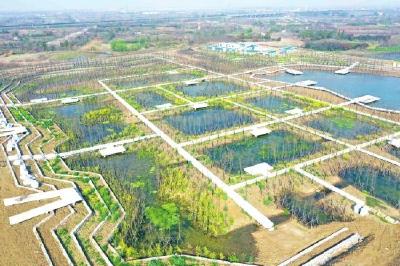 投资30亿 荆州环长湖湿地修复工程PPP项目有序复工 