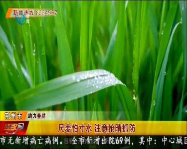 尺麦怕寸水 注意抢睛抓防