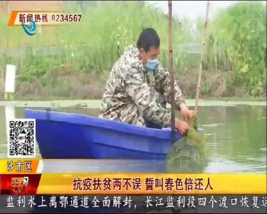 抗疫扶贫两不误 誓叫春色倍还人