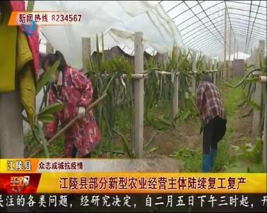 江陵县部分新型农业经营主体陆续复工复产