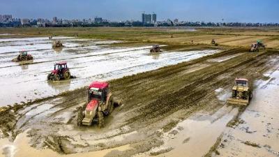 卫星发现一个信号：中国耕地正在绿起来 