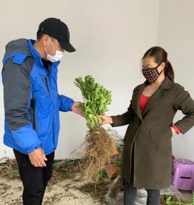 荆州区马山镇安碑村：打造特色产业 助推乡村振兴