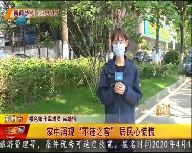 家中涌现“不速之客” 居民心慌慌