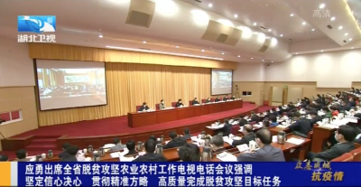 全省全市召开脱贫攻坚视频调度推进会 