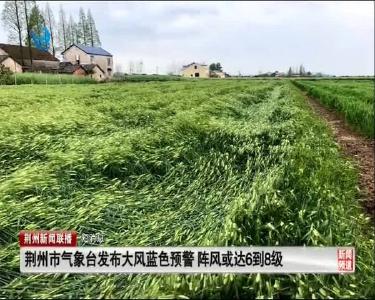 短消息：荆州市气象局发布大风蓝色预警 阵风或达6到8级