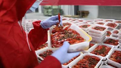 10万吨小龙虾工厂将落户监利 2021年投入使用 