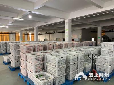 荆州482家农产品加工规上企业已全部复工复产