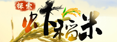 荆州广电丨直播乡村公益行动——走进江陵县白马寺镇