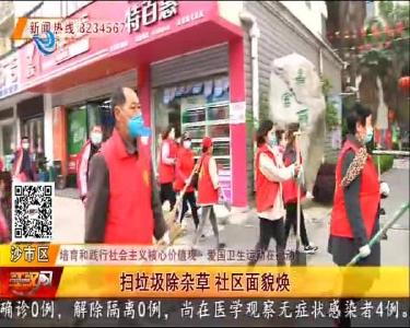 扫垃圾除杂草 社区面貌焕然一新