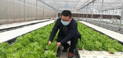荆州多举措严守农产品质量安全底线