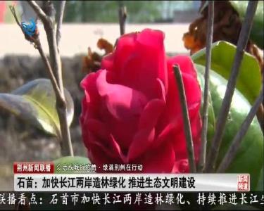 石首：加快长江两岸造林绿化 推进生态文明建设