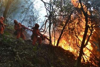 四川木里森林火灾初步查明起火原因