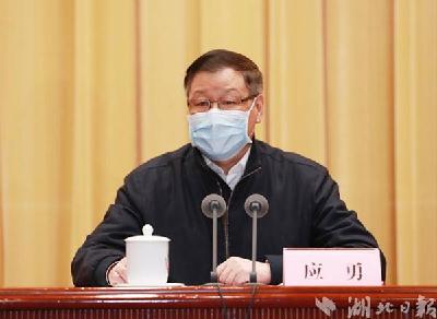 在全省脱贫攻坚农业农村工作电视电话会议上，应勇强调了这些