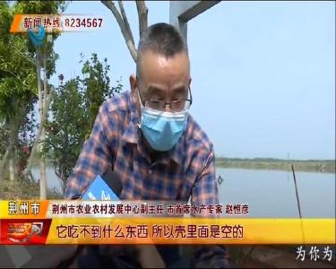 水产专家下田间 指导春季虾稻管理