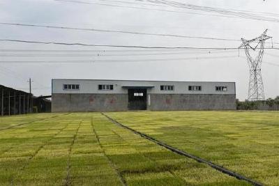 水稻种备货量达168万斤 荆州区春耕生产全面开启