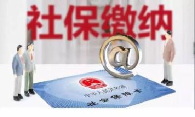 “五一”期间，荆州市税务局暂停运行社保费相关缴费业务