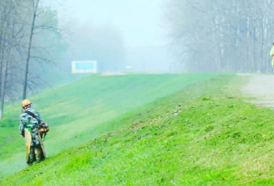 碧杨芳草展新颜 公安县江堤美景现“真容”