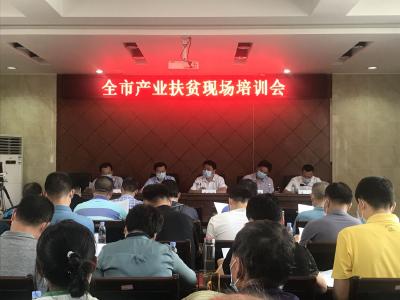 荆州市产业扶贫现场培训会在江陵资市镇召开