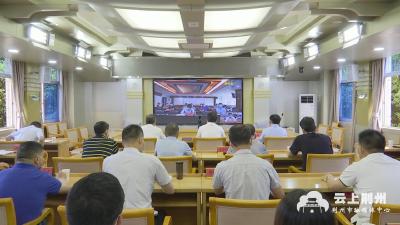 市政府部署2019年耕地保护督察发现问题整改工作